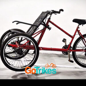 EasyGo E-Trike